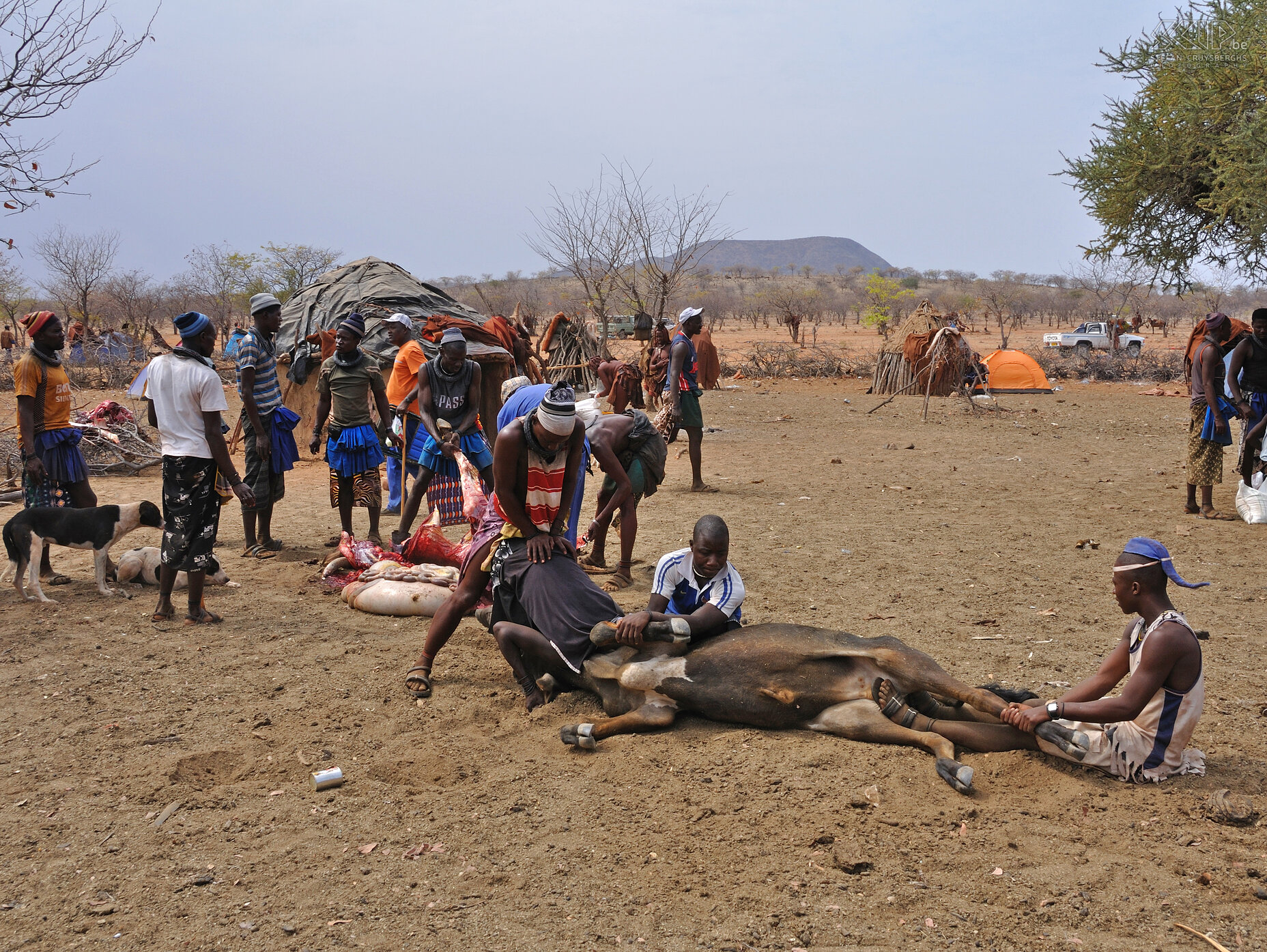 Omangete - Himba mannen Ten noorden van het stadje Opuwo brengen we een bezoek aan het afgelegen Himba dorp Omangete. De Himba zijn de laatste semi-nomadische stam in Namibië. Zij wonen in de regio Kunene/Kaokoland in het noorden van Namibië tegen de grens met Angola. Het zijn jagers en verzamelaars en zij hoeden runderen, schapen en geiten en telen ook een paar gewassen.<br />
<br />
Leden van een enkele familie leven typisch in een iglo-vormige hut genaamd 'onganda'. De kleine Himba dorpen hebben een centrale omwalling voor het vee dat 'kraal' wordt genoemd.<br />
<br />
De belangrijkste taak van de mannen is het hoeden van het vee. Tijdens ons bezoek zijn de mannen enkele koeien aan het slachten voor een begrafenis. Stefan Cruysberghs